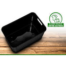 Kit 6 Organizador Rattan Com Tampa 07lts