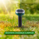 Repelente Para Ratos Pequeno